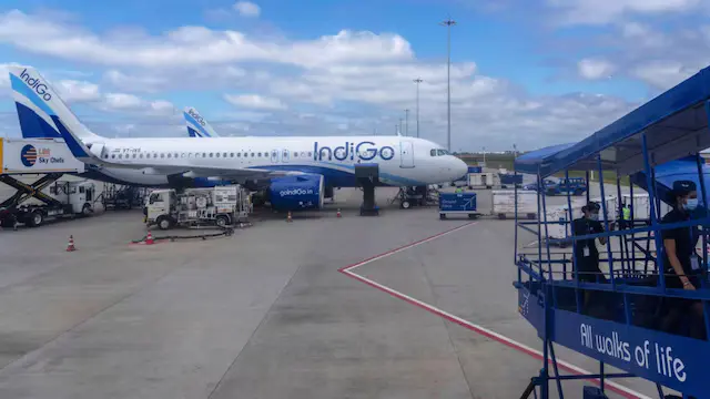 indigo 